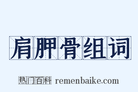 肩胛骨组词是什么意思的图片